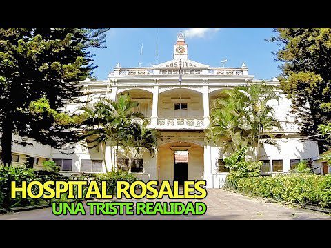 ¿Quién es el director del hospital Rosales?